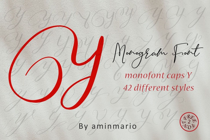 MONOGRAM Y Font Download