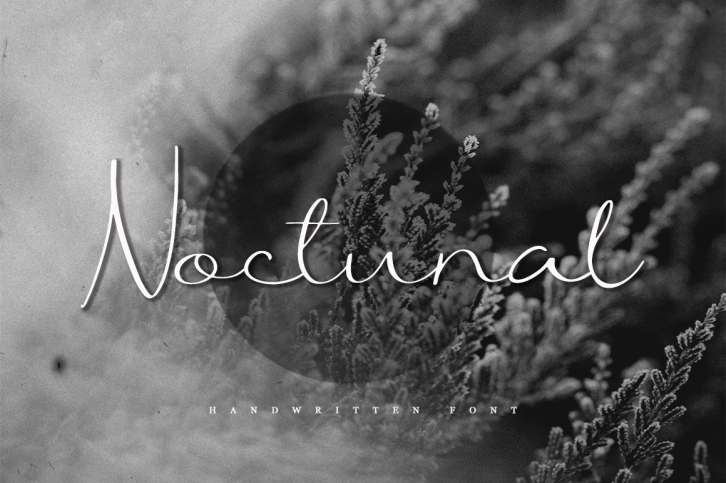 Noctunal / Sale Font Download
