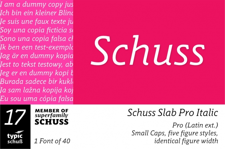 SchussSlabProItalic No.17 (1) Font Download
