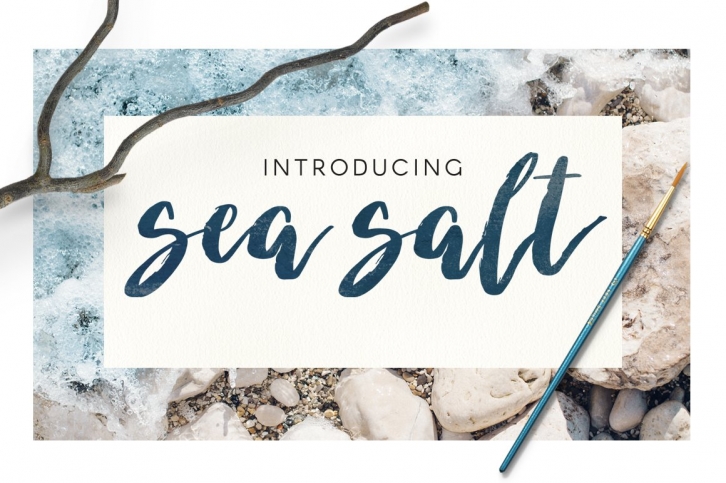 "Sea Salt" Brush Script Font Download