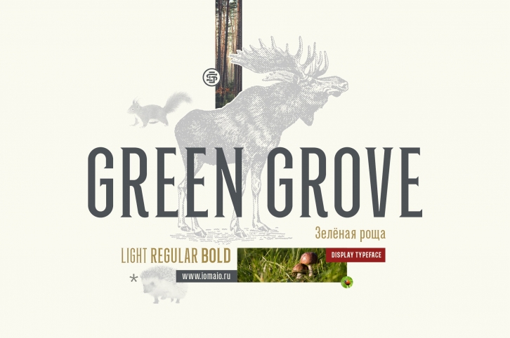 Green Grove // 3 fonts Font Download
