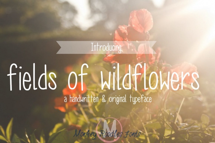 fields of wildflowers- hand font Font Download