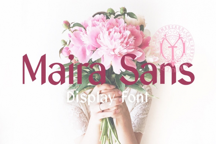 Maira Sans Font Download