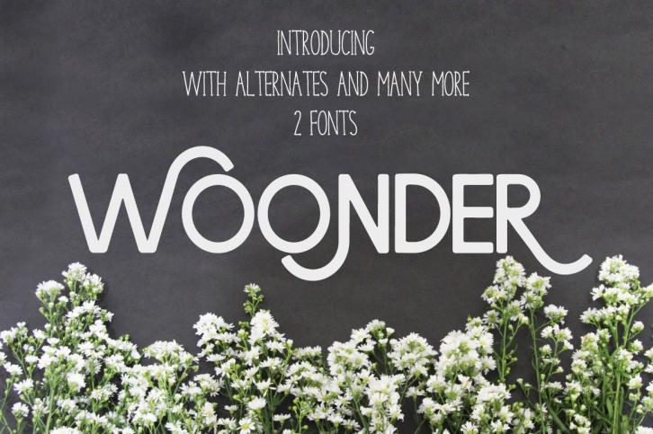 Woonder [2] Font Download