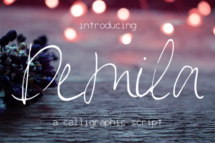 Demila Font Download