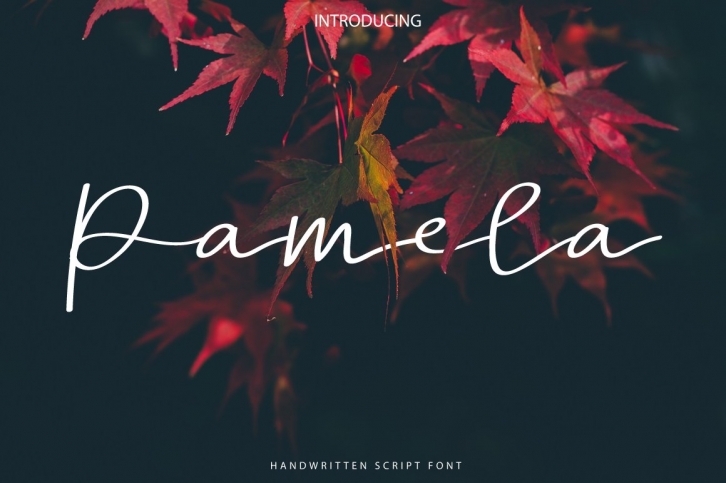 New! Pamela Font Download