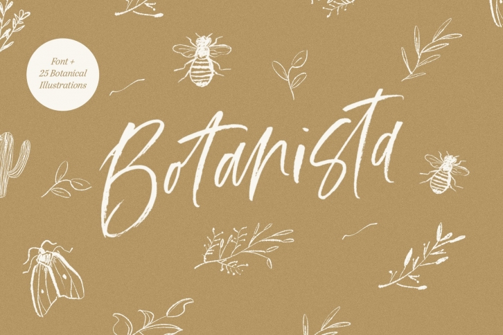 Botanista Font Download