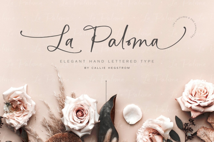 La Paloma Script + Catchwords Font Download