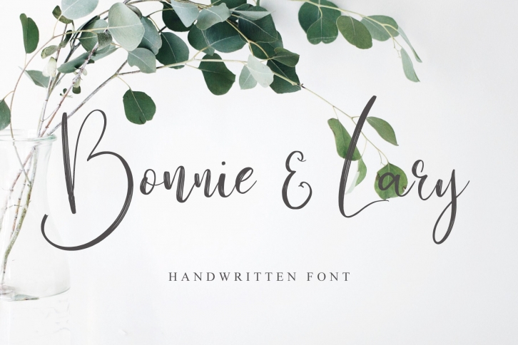 Bonnie  Lary Script Font Download