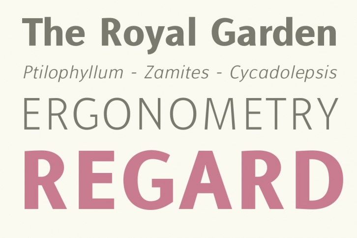 Alfabetica Font Download