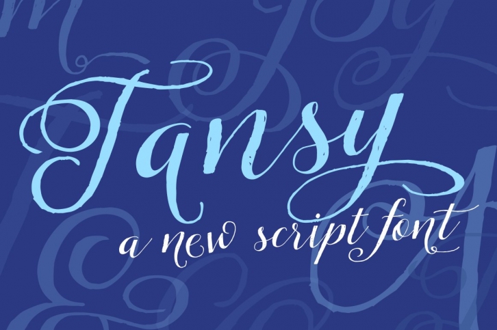 Tansy Font Download