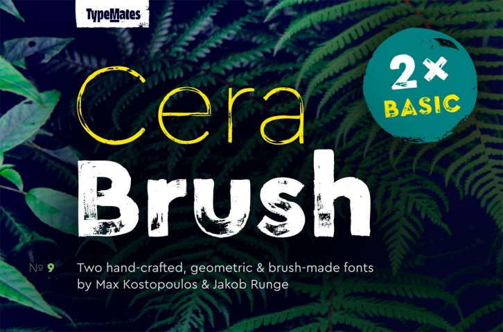 Cera Brush Basic Family Font Download