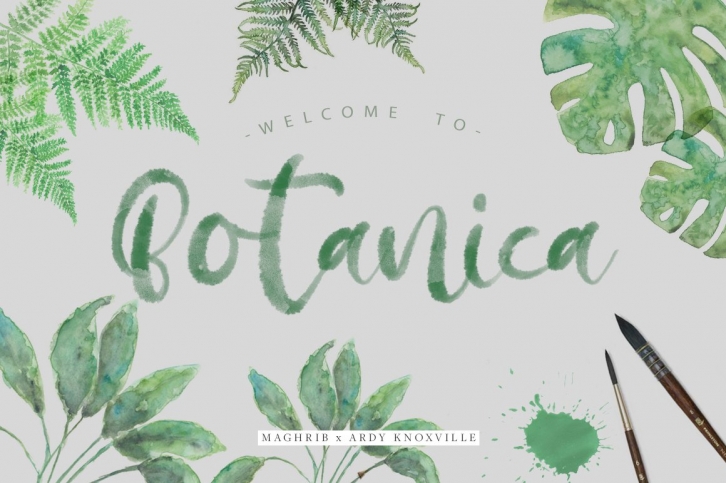 Botanica Regular  OpentypeSVG Font Download