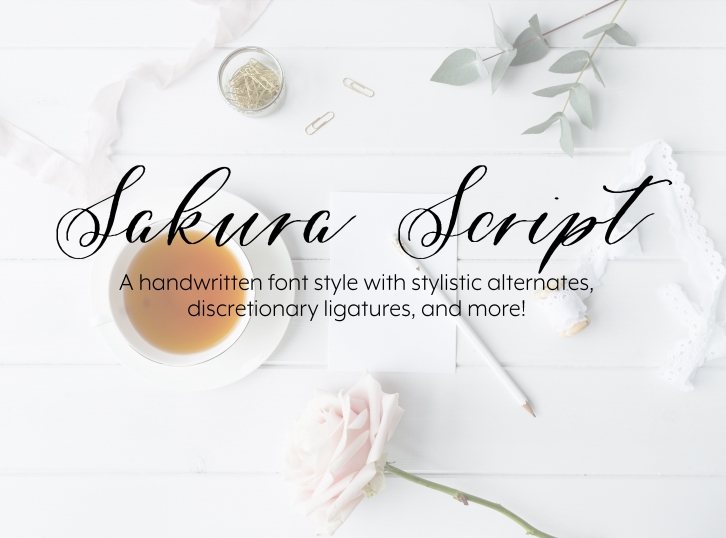 Sakura Script Font Download