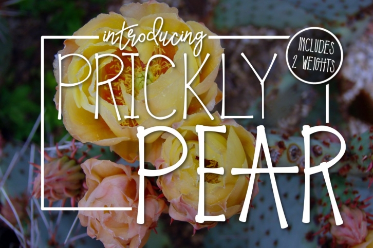 Prickly Pear a Handwritten Typeface Font Download