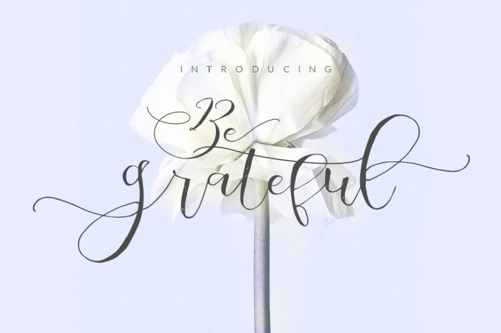 Be Grateful Script Font Download