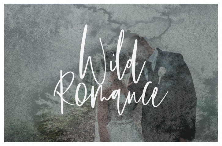 Wild Romance Script Font Download