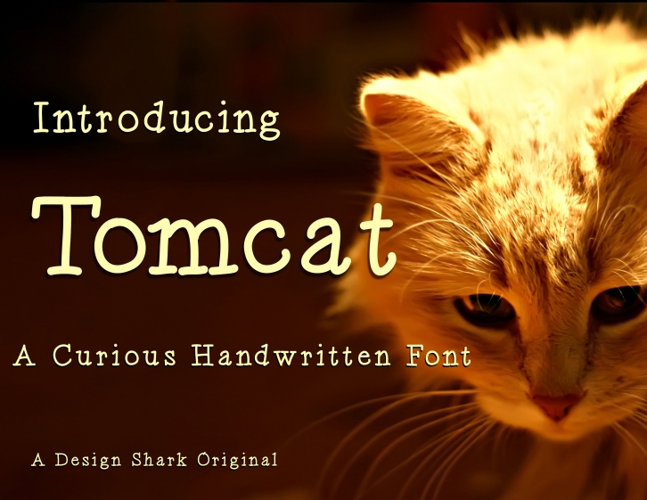 Tomcat Font Download