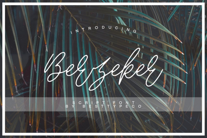 Berzeker Font Download