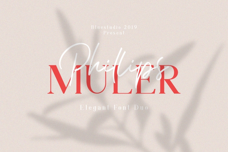 Phillips Muler // Elegant Duo Font Download