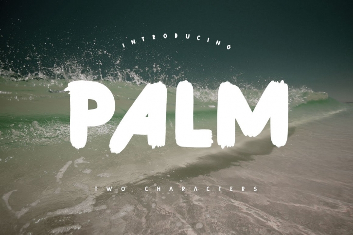 Palm Brush Font Download