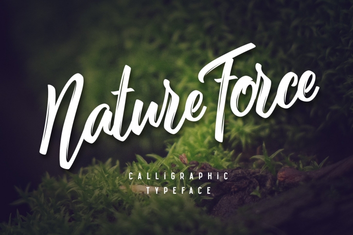 Nature Force script Font Download