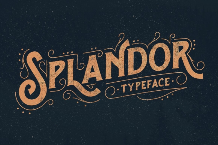 Splandor Typeface Font Download