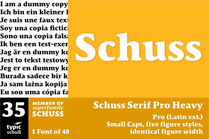 SchussSerifProHeavy No.35 (1) Font Download
