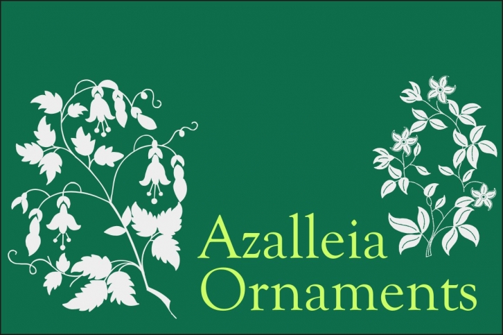 Azalleia Ornaments Family Pack Font Download
