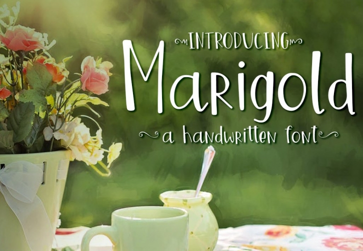 Marigold Font Download