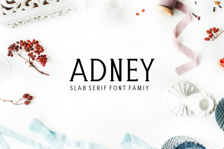 Adney Slab Serif Family Font Download