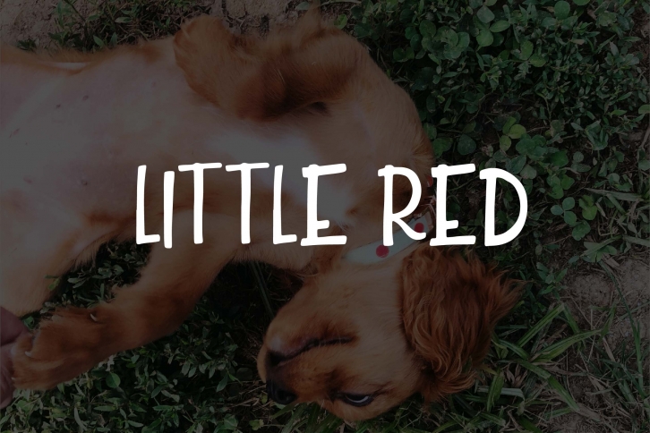 Little Red Font Download