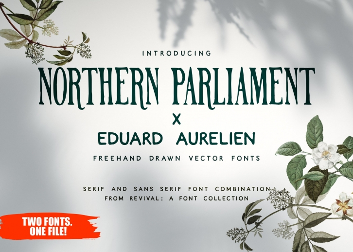 NORTHERN PARLIAMENT|eduard aurelien Font Download